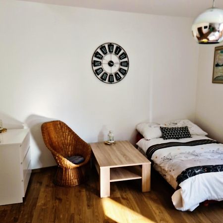 City Centre Apartments Liberec Bagian luar foto